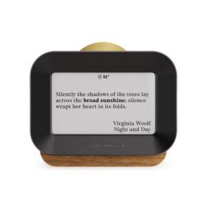 Author Forecast Digital Weathervane - Small - Wood - Image 4